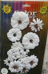 Assorted Flower Mix WHITE 14 PAPER Darjeeling CMC 25-45mm Across Petaloo F