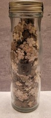 Prima Jar Got Flowers Ivory Cream Brown Paper Flowers New Crafting Scrapbooking