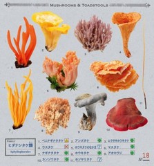 Japanese Mushrooms Stickers book 238 Stickers Shogakkan NEO Shiitake Shimeji