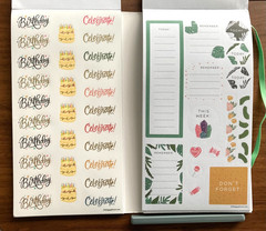 NEW Happy Planer Stickers ALL THE ESSENTIALS MEGA Sticker Book 2,172 pieces!