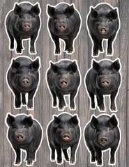 Black Pig Die Cut Vinyl Stickers Scrapbooking Laptop Waterbottle