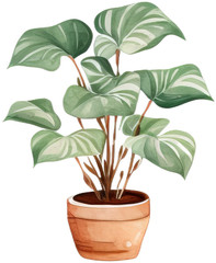 Plant Themed: Scrapbooking PNG Sticker Printables DIY Diary Planner Decor Fun