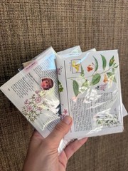Small Junk Journal Ephemera Mystery Pack Vintage & modern paper & sticker goods