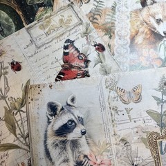 200+ cottage core mystical forest kit Lot Junk Journal Ephemera