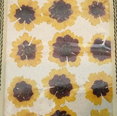NEVER OPENED- 20yrs OLD! Pressed Petals Flower Scrapbook- «Red Yellow Flowers»