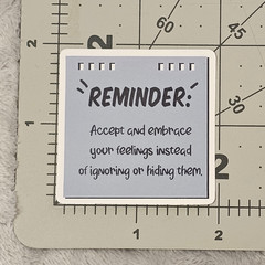 Accept Embrace Your Feelings Reminder Sticker Mental Health Affirmation Decal