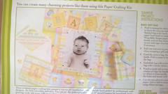 Daisy Hill Newborn Baby Cardstock Stickers Scrapbook Embellishments Paper Crafts