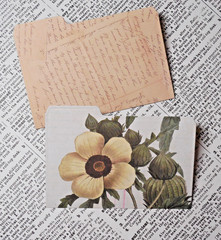 8 Mini File Folders Scrapbook Junk Journal Card Making Crafts Vintage Patterns