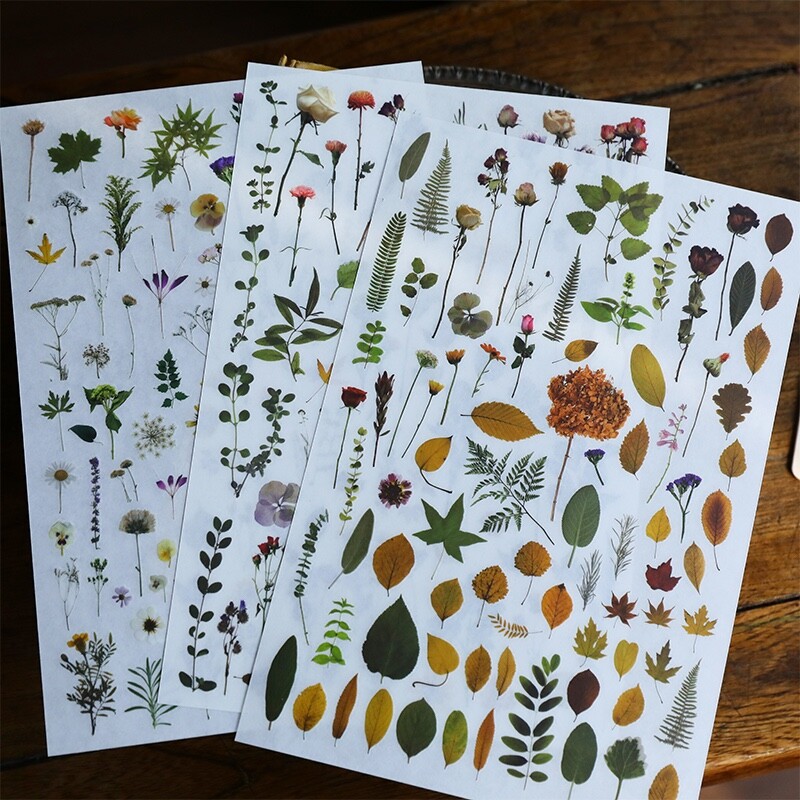 Rub-on stickers | 3 sheets watercolor green leaf botanical flower floral leaves