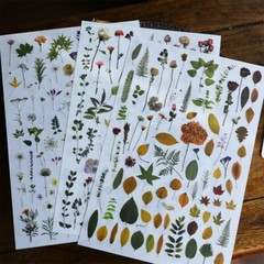 Rub-on stickers | 3 sheets watercolor green leaf botanical flower floral leaves