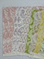Anna Griffin Feather 19 12×12 Cardstock – 24 12×12 text sheets – 7 6×8