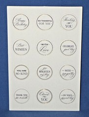 Anna Griffin Mini Sentiments Sticker Everyday & Holiday 288 pc Themed Sentiments