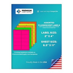 Bright Neon Fluorescent Stickers – 2″ x 4″ Assorted Labels – 250 Pack for Crafti