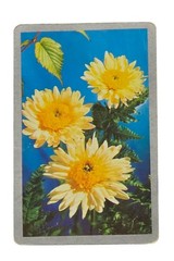 Vintage Congress Playing Cards Flowers Collage Scrapbook Junk Journal