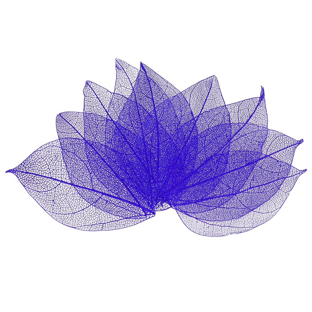 100-Pack Skeleton Leaves, Natural Rubber Tree Leaves Vein[4-6cm, Purple]