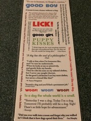 AMERICAN TRADITIONAL DESIGNS LIL’ MESSAGES ‘WOOF MESSAGES’ 20PCS