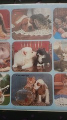 Vintage Gibson Puppy/kitty Stickers
