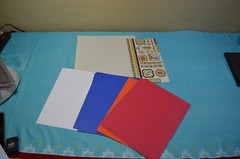 Scrapbooking/Crafting Paper 53 pieces12x12 and 12 pieces of 11.5x 8.5 Paper