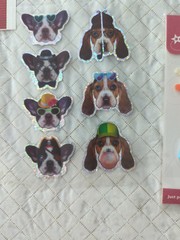 Cat And Dog Themed Scrapbook Stickers, Embellishments