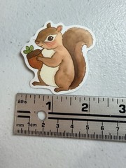 13Pcs Cartoon Squirrel Stickers, Waterproof, Love For Squirrels – New – Gift