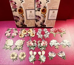 Anna Griffin’s Latest Bday Celebrations 3D Stickers 36 PCS of Flowers & Layers