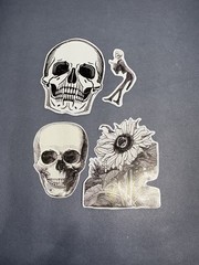 4 Sticker Set Black and White Line Art Skulls Flowers By Julie de Graag Skeleton
