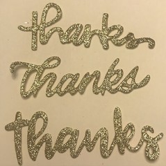 Die Cuts THANKS Sentiments 15 Pieces Foil Cardstock