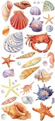 Violette Stickers Realistic Seashells Sea Life Crafts Planner Supply Scrapbook