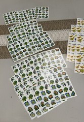 Vintage Carson Dellosa Sticker LOT Dinosaurs Rainforest Animals – 84 Sheets