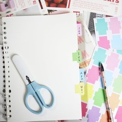 120 PCS Multi Sticky Blank Monthly Index Tab Page Marker Flag Label Note