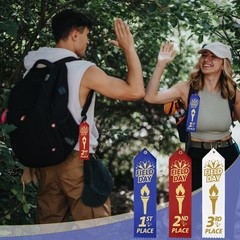 90 PCS Field Day Ribbons 1st 2nd 3rd Place 8×2 Inch Award Card String Set