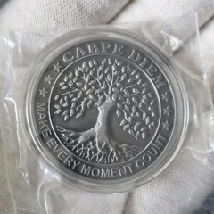 Artfully Sculpted Memento Mori Medallion A Stoic Spiritual Skull Challenge Co…