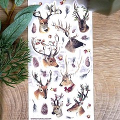 Stickii Club – Deer Stickers – Snow Winter Christmas Sticker Sheet – Crafts