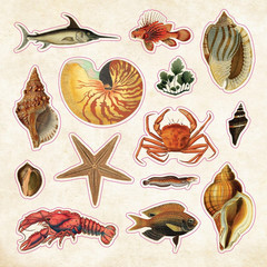 The Sticker Book of Curiosities (Over 750 Stickers) (Sticker Books)