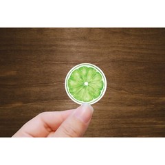 Orange, Lime, and Lemon Stickers | Die Cut, Glossy, Vinyl | Citrus Stickers