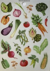 VEGETABLE Mylar Stickers(22pc) Paper Studio•Thanksgiving•Food •Beet•Card Making