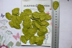 LEAVES Light GREEN MEDIUM 50 Pack Paper – 35mm long x 25mm wide Manor House