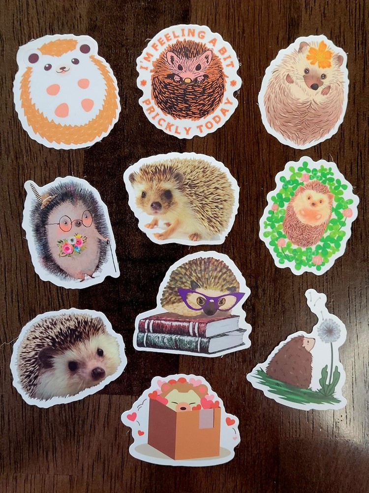 STICKERS x 10 Hedgehogs SASSY Cute Baby Hedgehog Sticker Book Love Flowers HO4