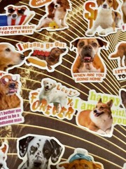 50 Pieces Bundle Pack Dog Theme Stickers Decal High Glossy Finish