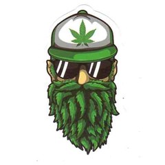 Stickers for Water Bottles, 420 Stickers for Teens Adults, Vinyl Waterproof