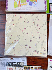 10 lbs Scrapbook Kits – Creative Making Memories Minds Eye Paper Sticker Packs