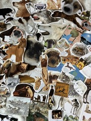 Huge Lot 100+ Dog Cutouts Paper Ephemera Collage Scrapbook Journal Craft Set