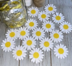 Daisy Flower Confetti – Daisy Table Scatter Confetti – 25 flowers