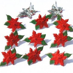 Eyelet Outlet Shape Brads 12/Pkg Poinsettia