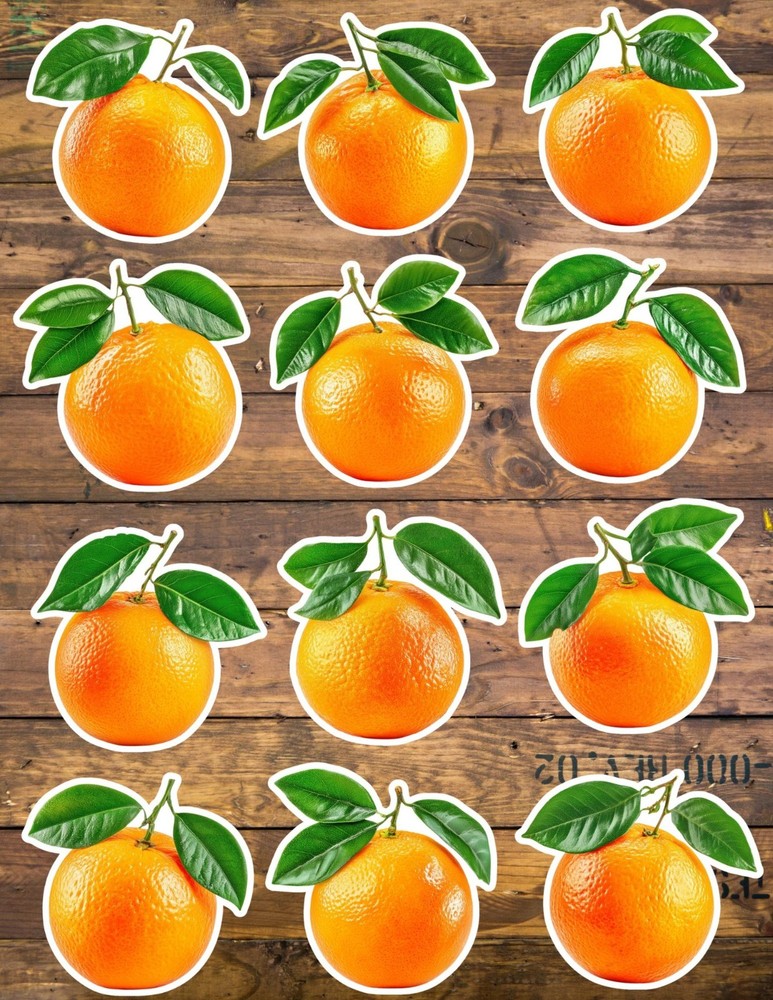 Mandarin Orange Die Cut Vinyl Stickers Scrapbooking Laptop Waterbottle