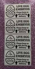 50 LIVE EGG EMBRYOS STICKERS 2.25″ LABELS SEALS HATCHING EGGS HANDLE WITH CARE