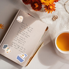 20pcs Cute Duck Stickers Pack | Kawaii Animal Stickers | Planner, Laptop