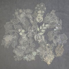 Holo Flower Stickers Set of 15 Transparent Holographic Laser Stickers DIY