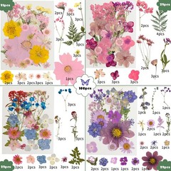 204 Pcs Dried Pressed Flowers for Resin Crafts, Real Purple Pink 204pcs