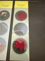 Lot Of 8 REAL Pressed Flowers Stickers Vintage Victorias Garden Scrapbook-22